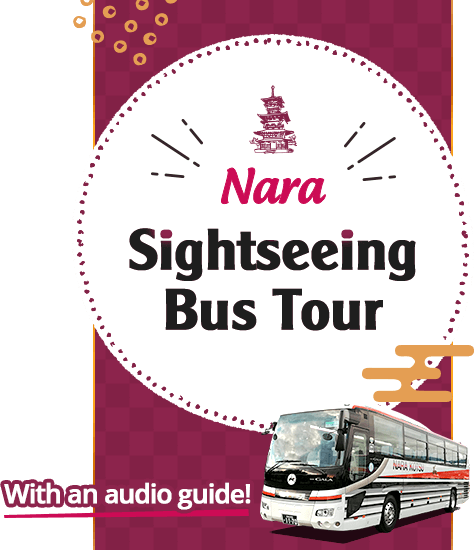 Nara Sightseeing Bus Tour with a guide! 