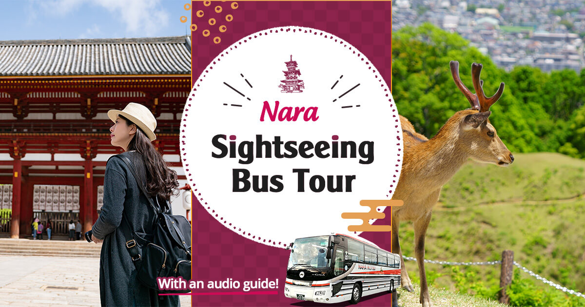 Nara Sightseeing Bus Tour | WILLER TRAVEL