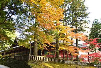 Nikko Toshogu & Lake Chuzenji Autumn Tour