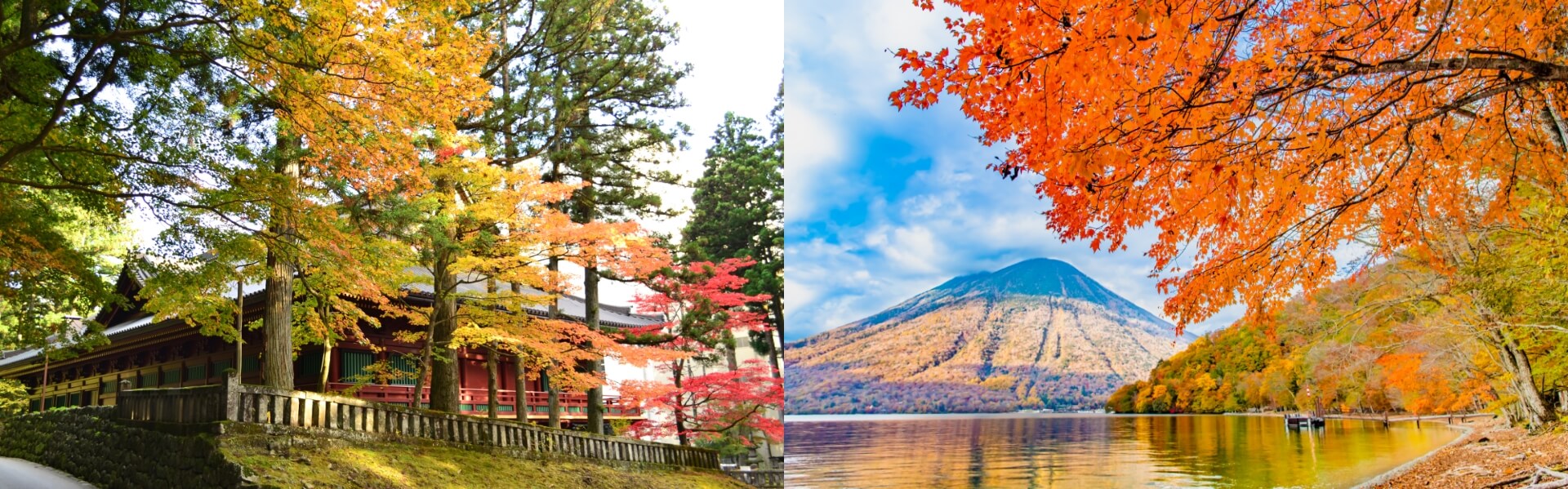 1-Day Autumn Leaves Tour from Tokyo Nikko toshogu & Lake Chuzenji