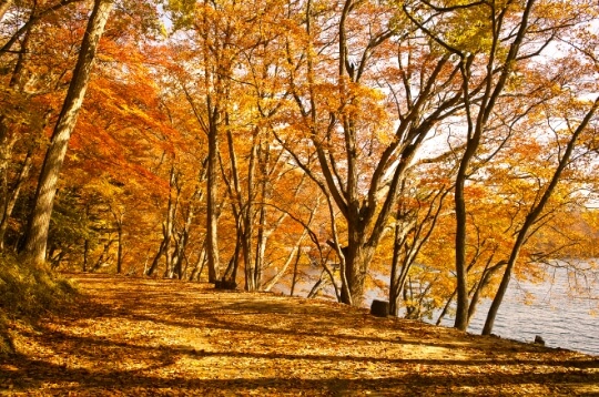 Lake Chuzenji