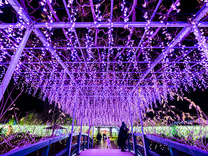 Ashikaga Flower Park