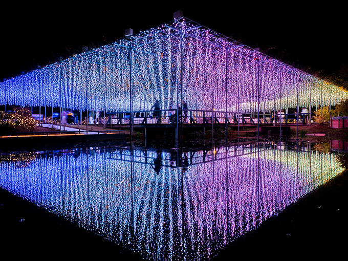 Ashikaga Flower Park