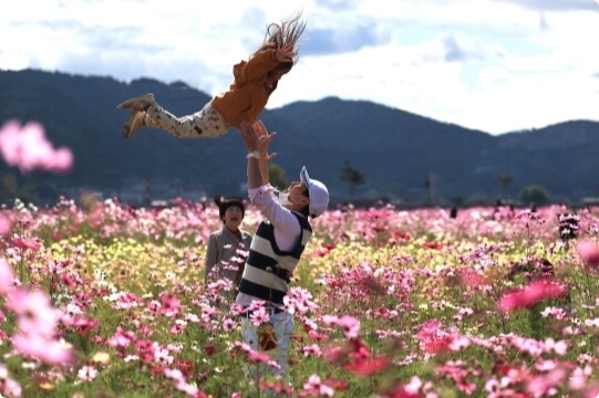 Yume Cosmos Garden