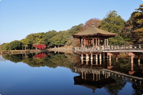 Nara Park