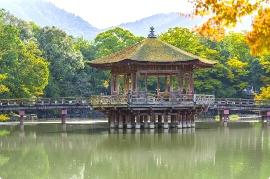 Nara Park