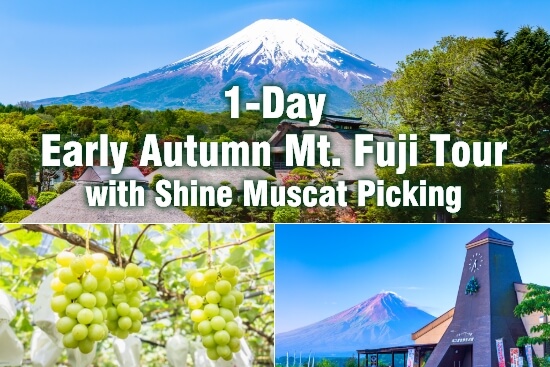 1-Day Early Autumn Mt. Fuji Tour with Shine Muscat Picking