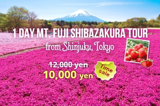 Mt. Fuji Shibazakura Tour 2026