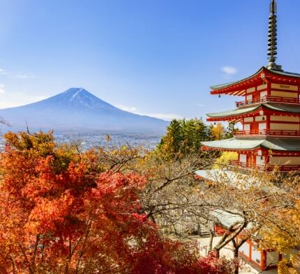 1-Day Mt. Fuji Kawaguchiko Autumn Leaves Festival Tour