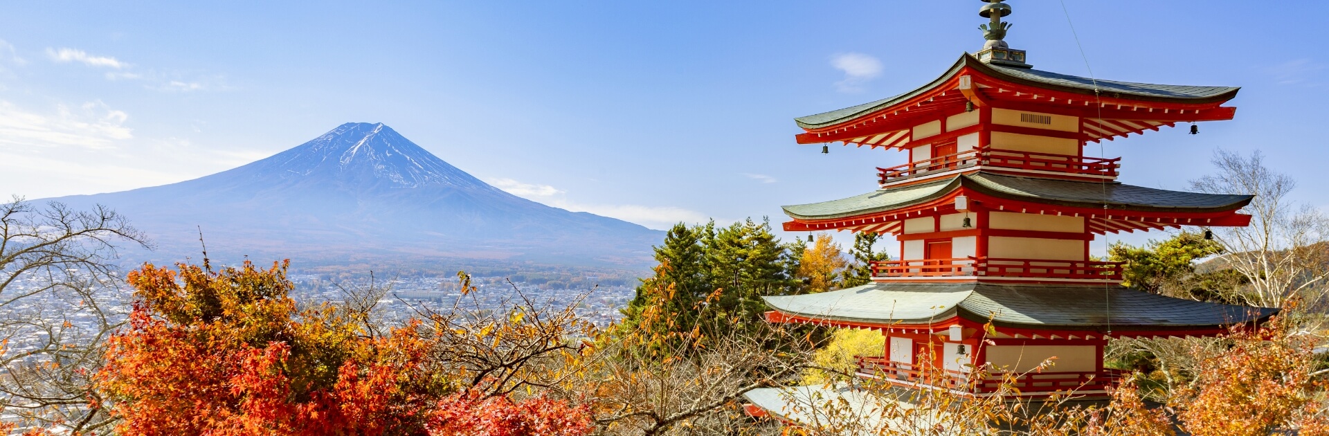1-Day Mt. Fuji Kawaguchiko Autumn Leaves Festival Tour