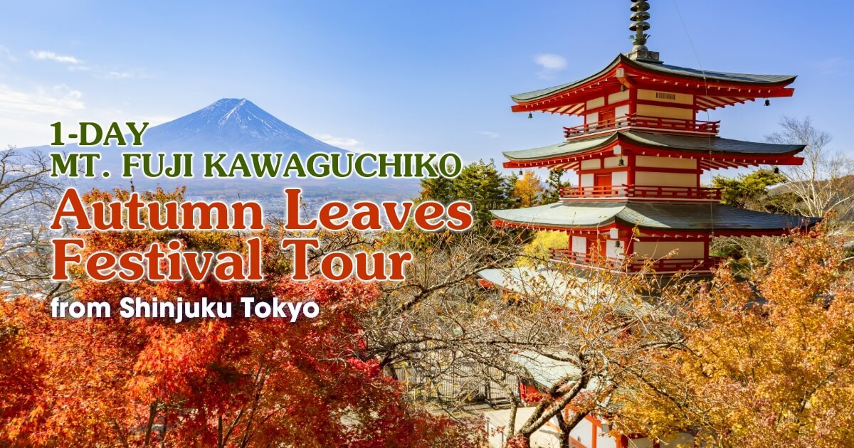 1Day Mt. Fuji Kawaguchiko Autumn Leaves Festival Tour WILLER TRAVEL