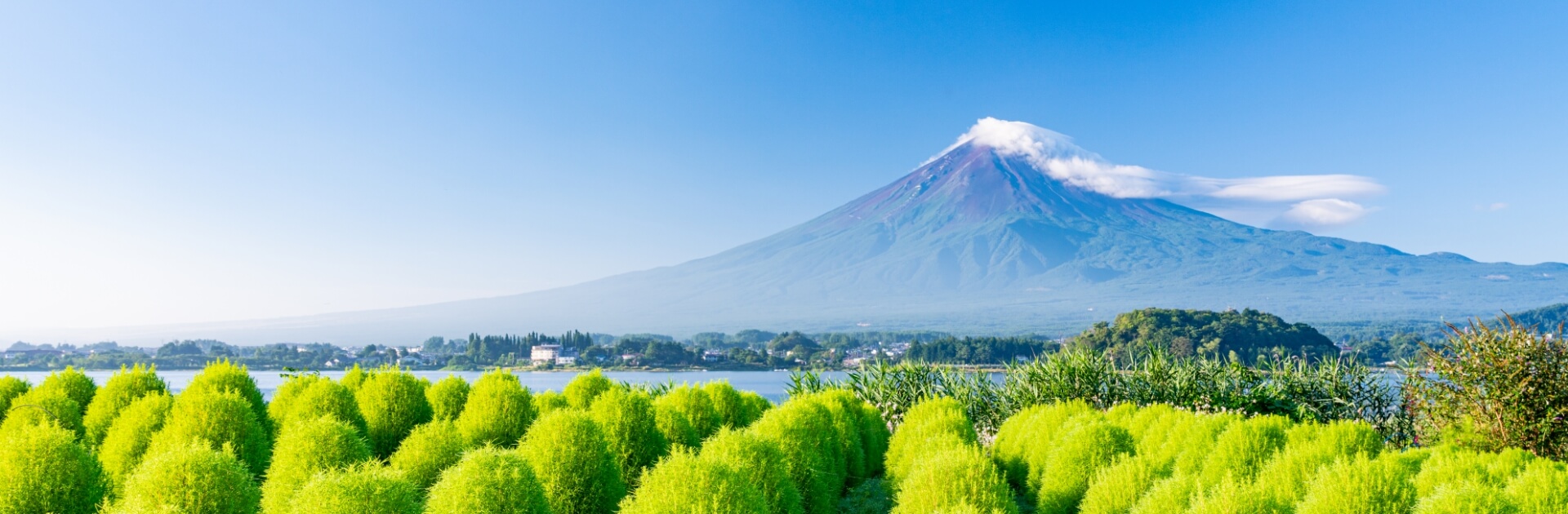 1-Day Mt. Fuji Kawaguchiko tour with fruit tomato picking