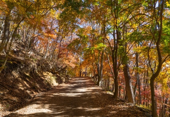 Nature from 1st to 5th station