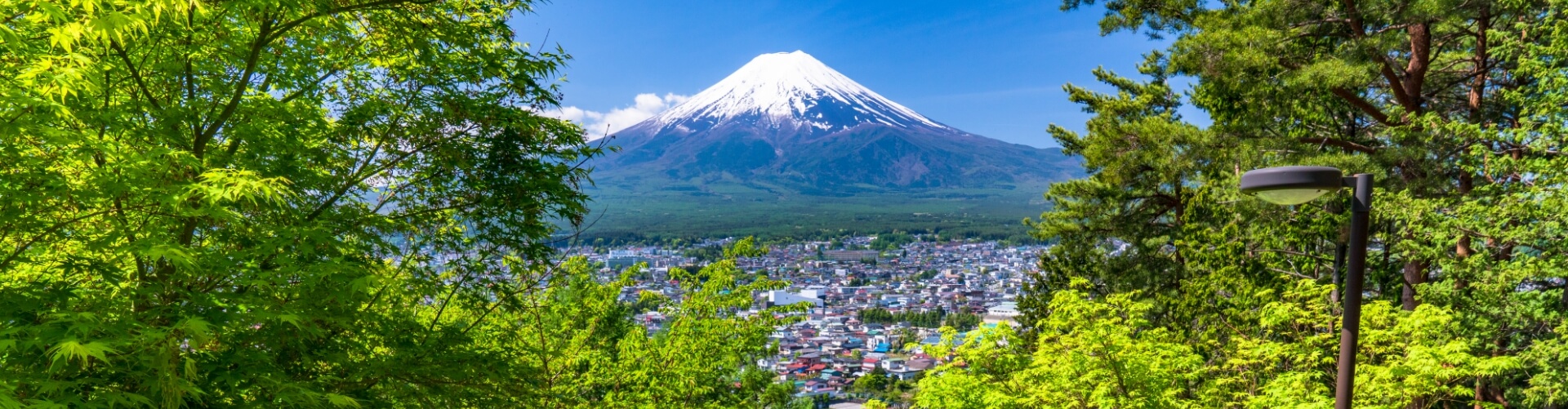 1-Day Mt. Fuji 5th - 6th Station Walking Tour