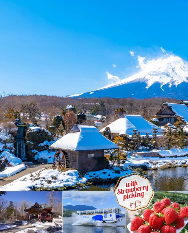 1-Day Mt.Fuji Yamanakako Winter Tour