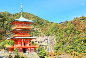 Kumano Nachi Taisha & Nachi Fall