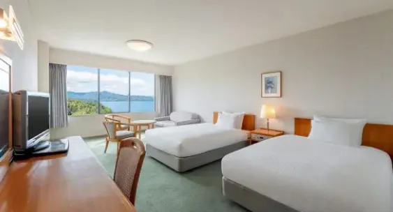 Classic Twin (Western-style room)