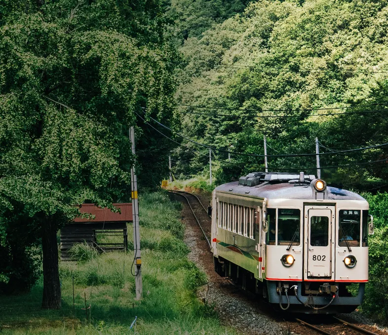 Kyoto Tango Railway Pass & Mercure Kyoto Miyazu