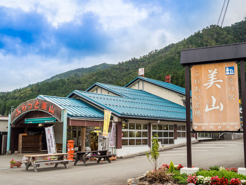 1-Day MIYAMA Thatched Village Tour