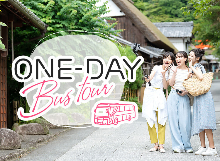 One-day Bus Tour