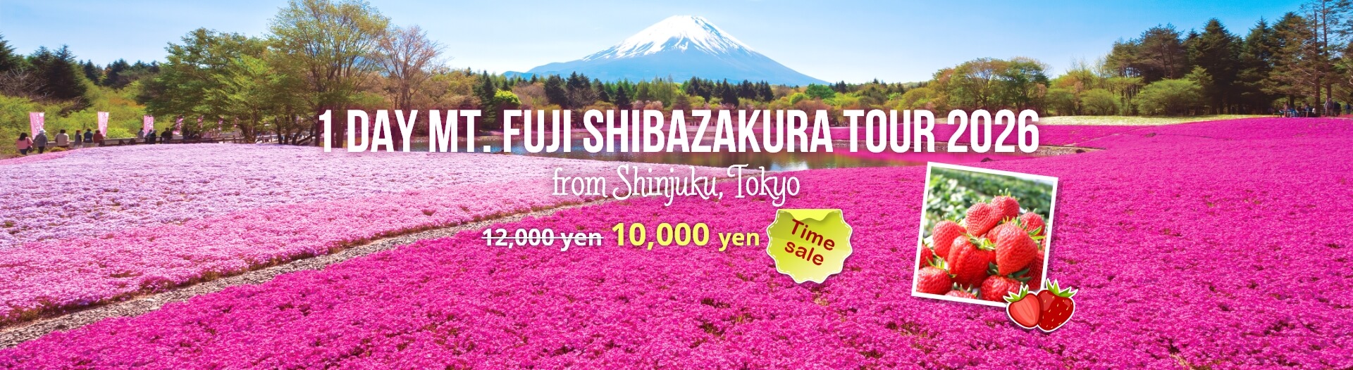 1-Day Mt. Fuji Shibazakura Tour 2026
