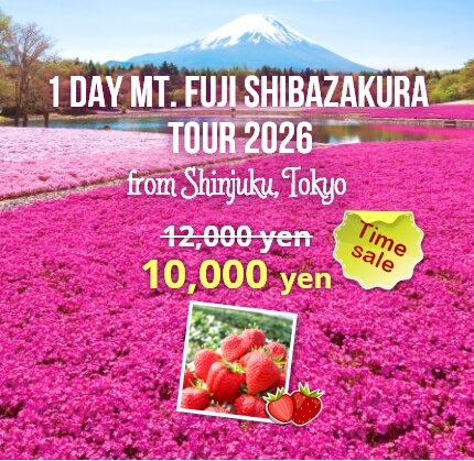 1-Day Mt. Fuji Shibazakura Tour 2026