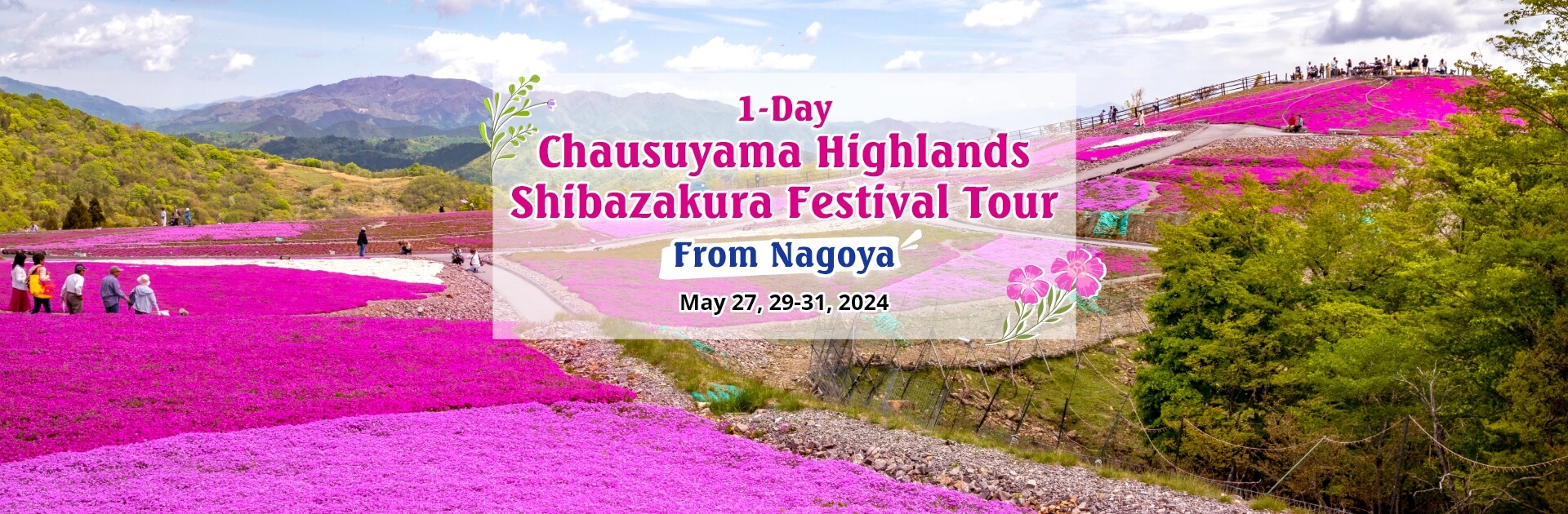 1-Day Chausuyama Highlands Shibazakura Festival Tour from Nagoya