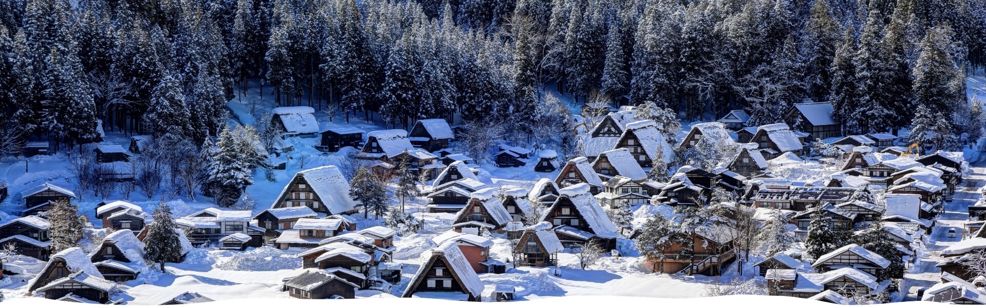 1-Day Shirakawago & Hida Takayama Tour 2025