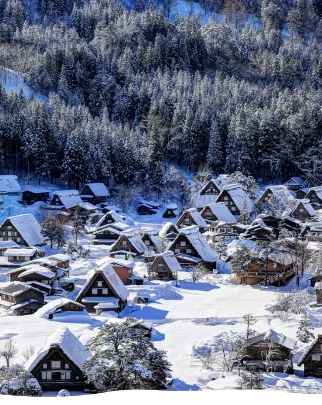 1-Day Shirakawago & Hida Takayama Tour 2025