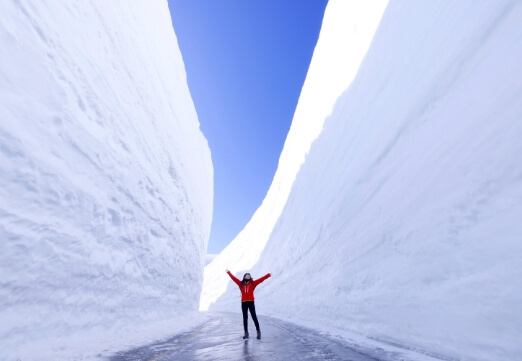 Yuki-no-Otani Snow Wall (Tateyama Kurobe Alpine Route)