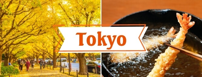 Tokyo Walking Tour with Tempura course meal