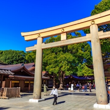 Tokyo Walking Tour with Tempura course meal