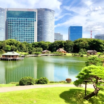 Tokyo 5 Best Tourist Attractions Walking Tour