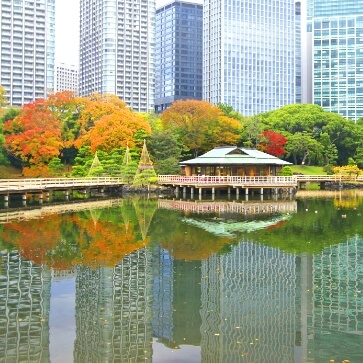 Tokyo 5 Best Tourist Attractions Walking Tour