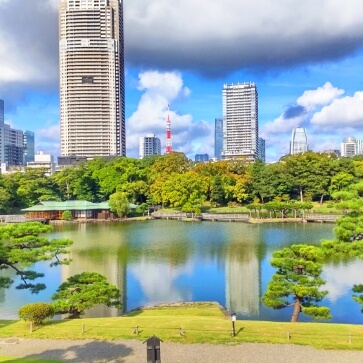 Tokyo 5 Best Tourist Attractions Walking Tour