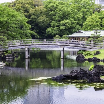 Tokyo 5 Best Tourist Attractions Walking Tour