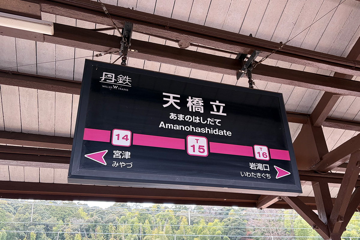 抵达天桥立
