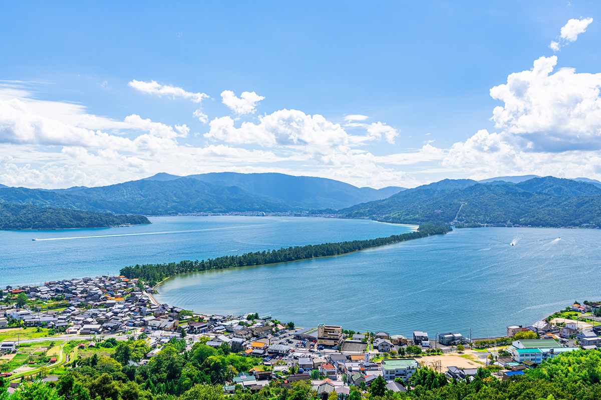 伞松公园