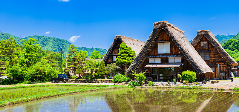 白川乡旅游指南