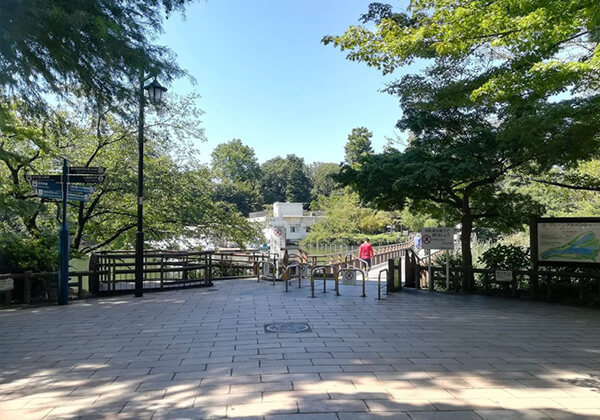 Inokashira park