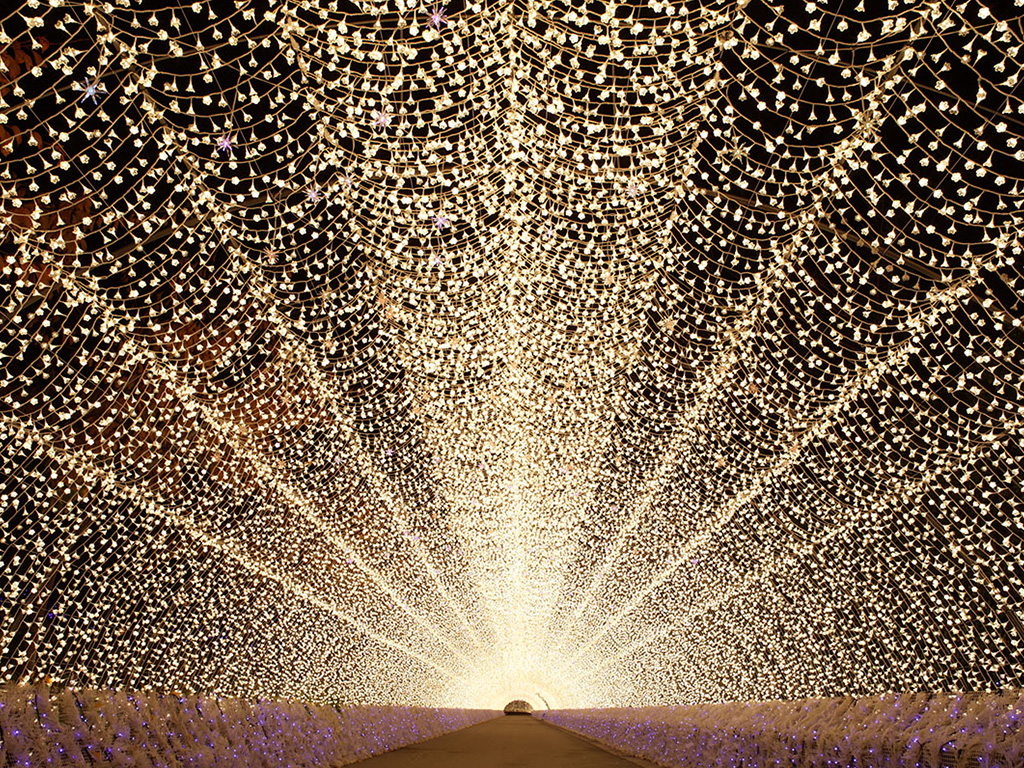 Tunnel of Light