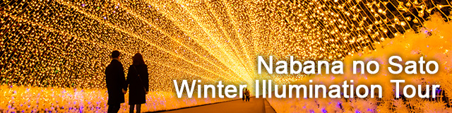 Check out Nabana no Sato illumination bus tours