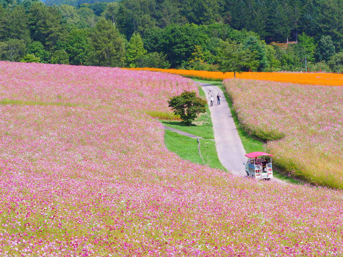 Taiyo-no-Oka Engaru Park