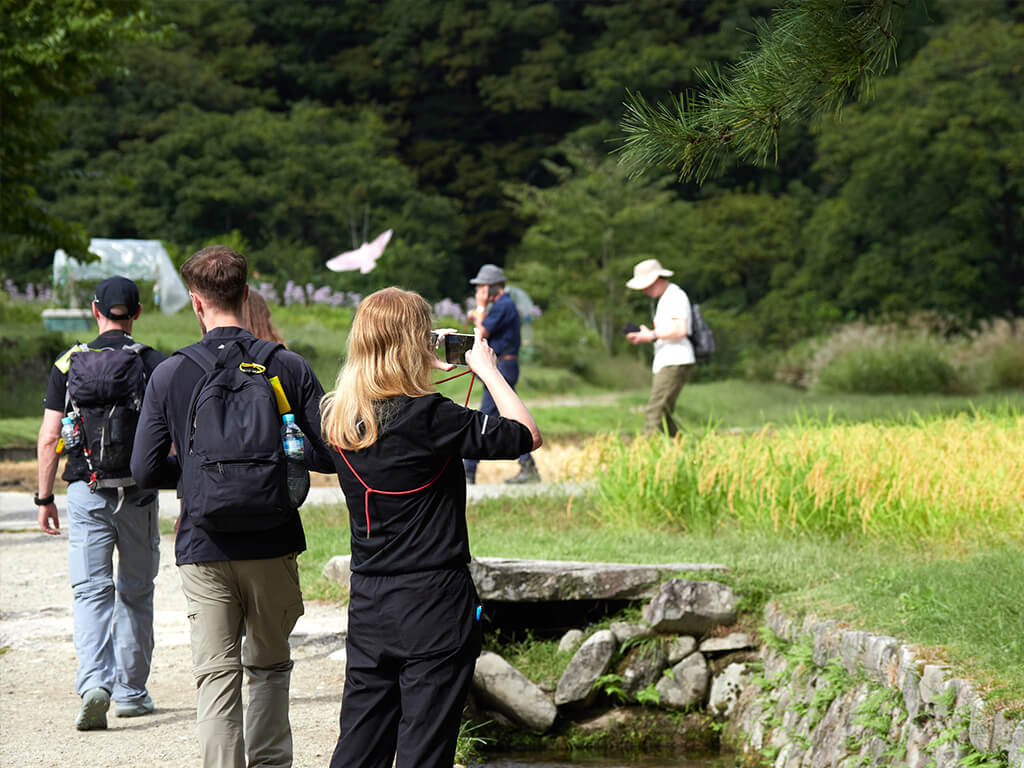 Summary: Plan Your Trip to Shirakawago