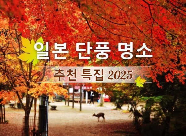 일본 단풍 명소 추천 특집 2025