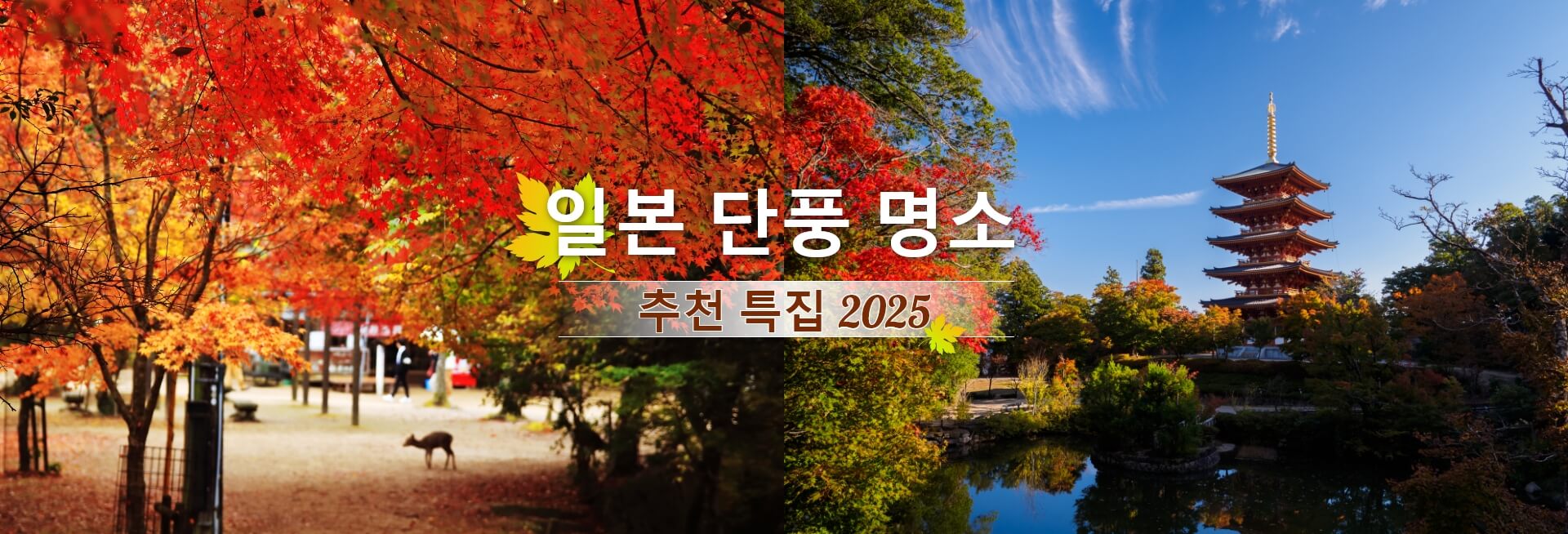 일본 단풍 명소 추천 특집 2025
