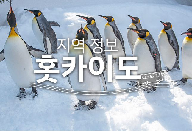 아사히야마 동물원 '펭귄의 산책'