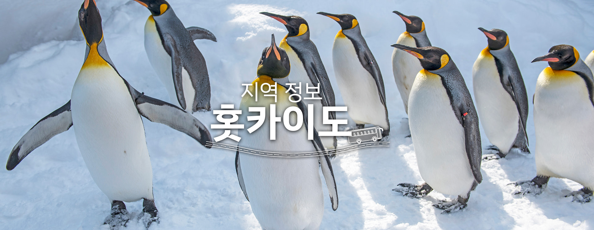 지역 정보: 홋카이도