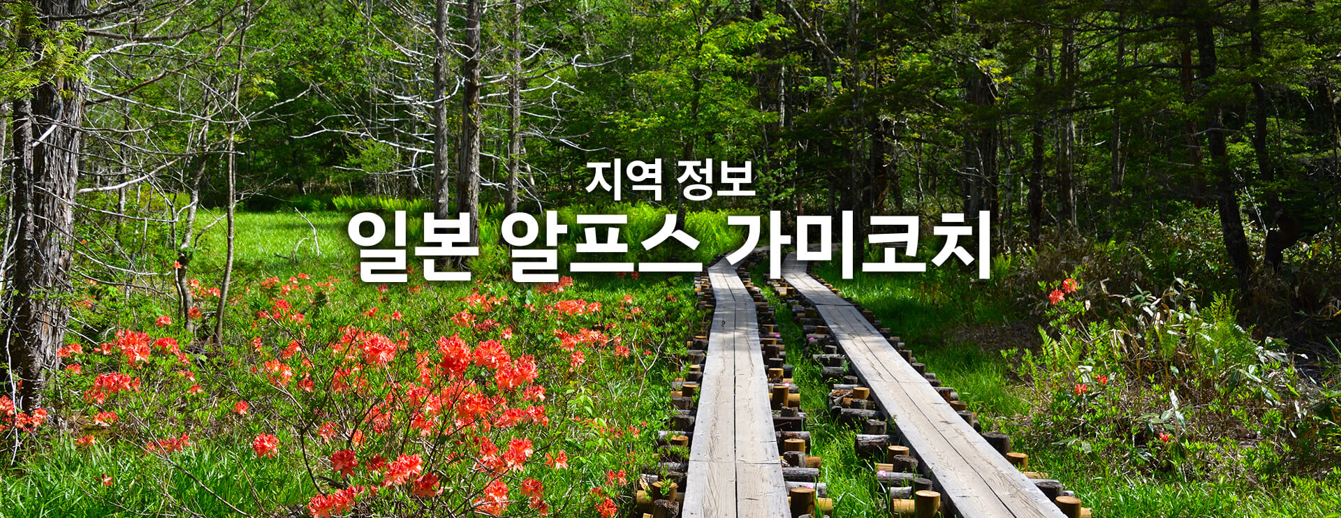 지역 정보 일본 알프스 가미코치 기간 한정 운행 버스