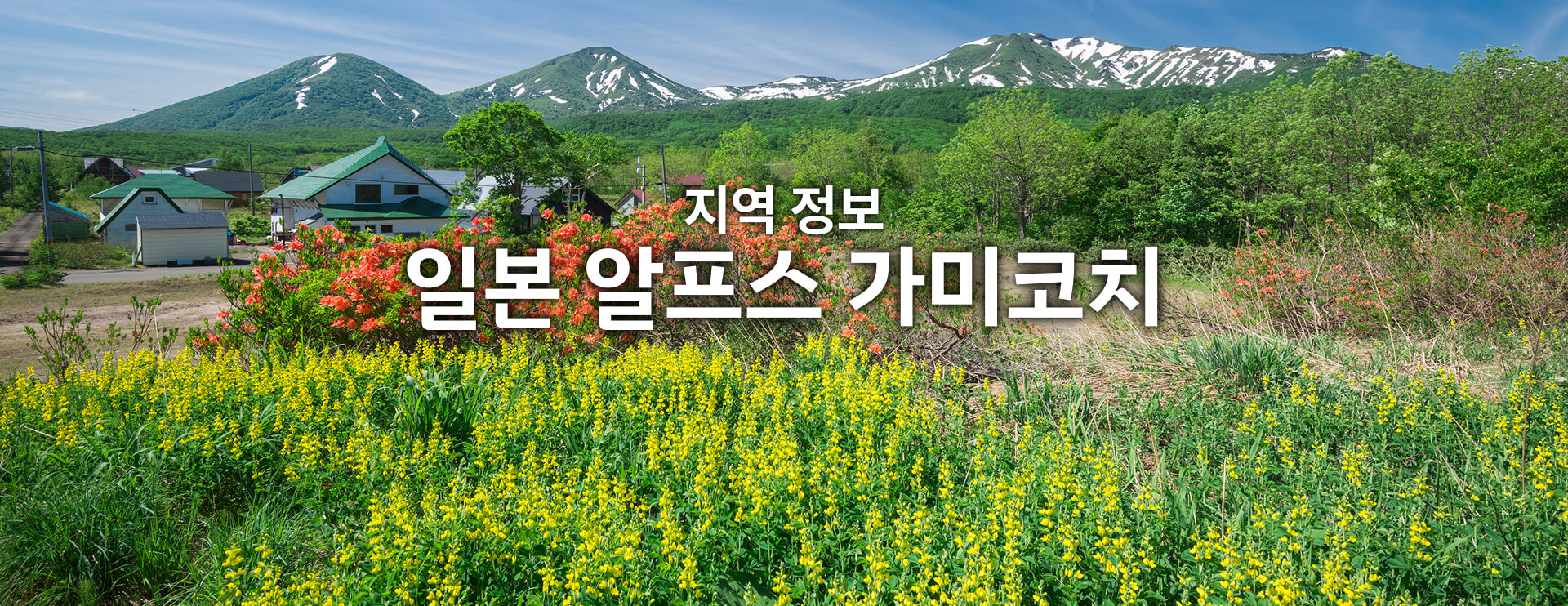 지역 정보 일본 알프스 가미코치 기간 한정 운행 버스